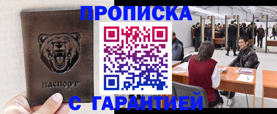 временная регистрация поиск в Завитинске